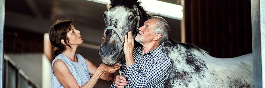 A retired couple relaxes with their horse.