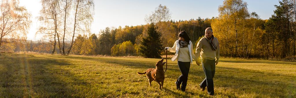 A middle-aged couple walks through a field with their dog on an autumn day.